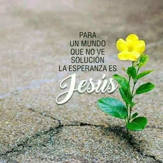 Imágenescristianas Frasescristianas Mensajes Notas Frases Pensamientos Consejos Jesuss En 2020 Frases De Esperanza Frases De Bendiciones Frases De Animo Dios