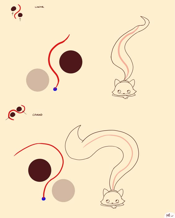 Ondulations, tails (and other objects) waves. | Kéké on Patreon