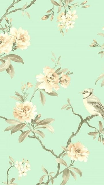 wallpapers Color Wallpaper Fondo Verde Menta pin on marcos