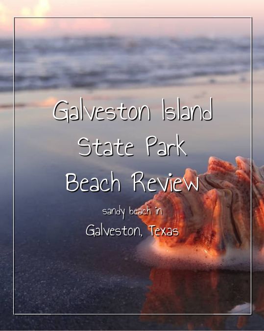 Tx Sandpiper Rv Resort Beach Front In Galveston Texas 201 Seawall Blvd Galveston Tx 77550 409 765 9431 Rv Parks And Campgrounds Rv Vacation Beach Camping