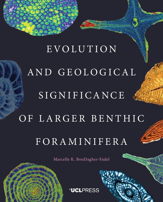 Resultado de imagen de Evolution and Geological Significance of Larger Benthic Foraminifera