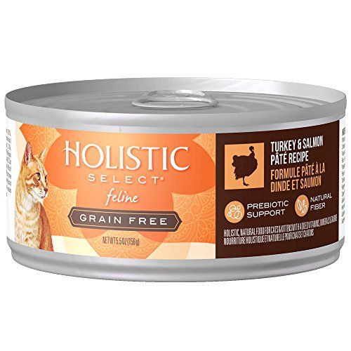 Holistic Select Natural Canned Grain Free Wet Cat Food Turkey Salmon Pate 5.5 Ounce Can Pack Of 24