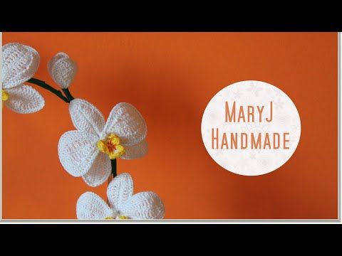 لوحات زهور الأوركيد سفير ارت للديكور Orchid Vase Decorative Tray Orchids