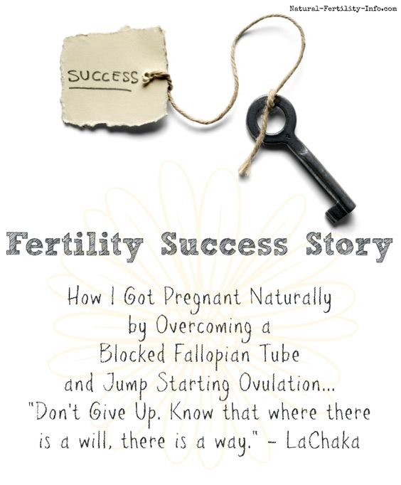 Unblocked Fallopian Tubes Naturally and Get Pregnant DOLLYHAMS - mammography resume Unblocked Fallopian Tubes Naturally and Get Pregnant DOLLYHAMS - mammography resume