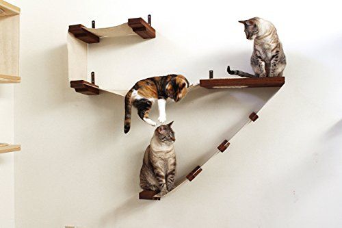 CatastrophiCreations Deluxe Cat Playplace - Cat Hammock &... https://www.amazon.co.uk/dp/B01EXLSKRQ/ref=cm_sw_r_pi_dp_x_1pmbAb470M11J