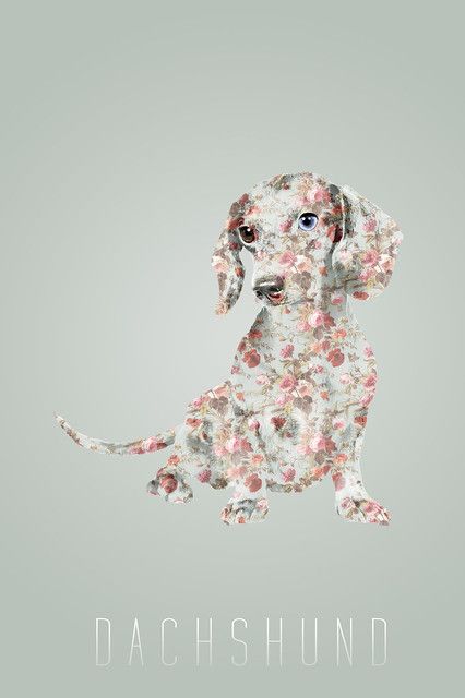 Perl Poster