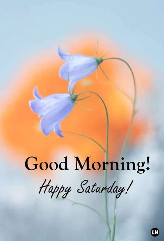 happy-saturday