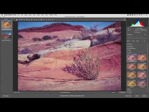 Adobe photoshop camera raw plug-in Adobe photoshop camera raw plug-in