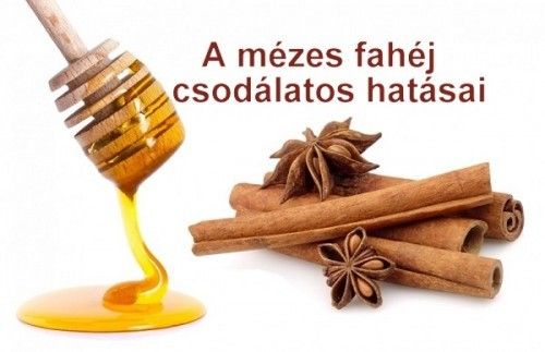 fogyókúra never fogyókúra never