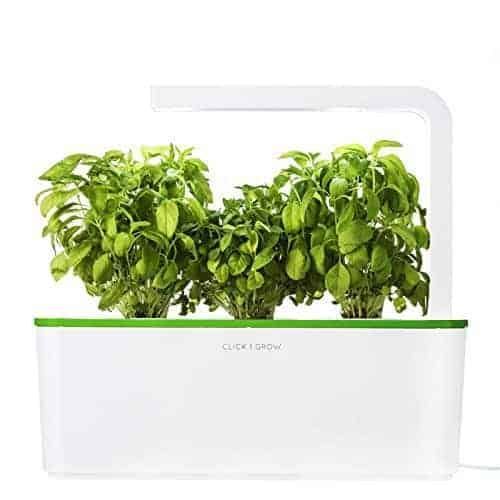 2699 - Indoor Herb Gardening Starter Kit Herbs Indoors Indoor Herb Garden Herb Garden