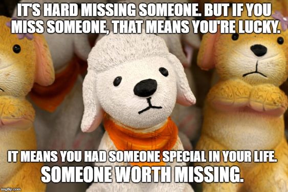 cool and funny i miss you memes for your dear partner miss you memes