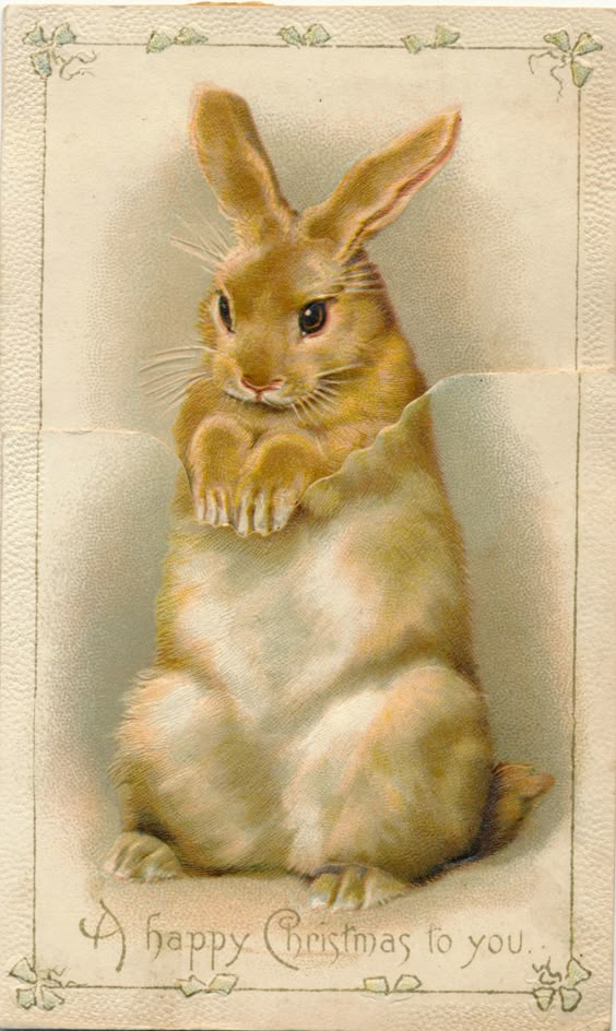 Victorian Christmas card rabbit