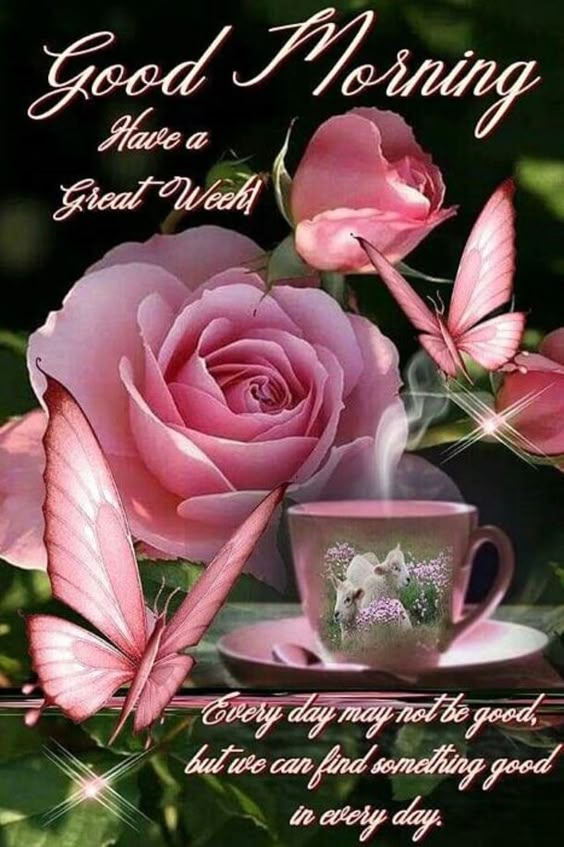 Stunning Good Morning Quotes And Sayings