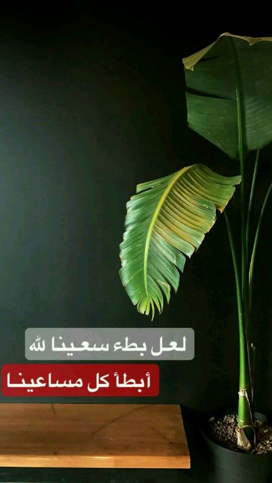 Pin By Sara Art94 On Arabic English Quotes English Quotes Arabic English Quotes Arabic Quotes