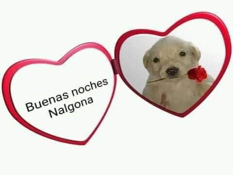 nalgona