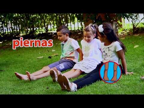 El Oso Remolón - Cantando Aprendo a Hablar - YouTube