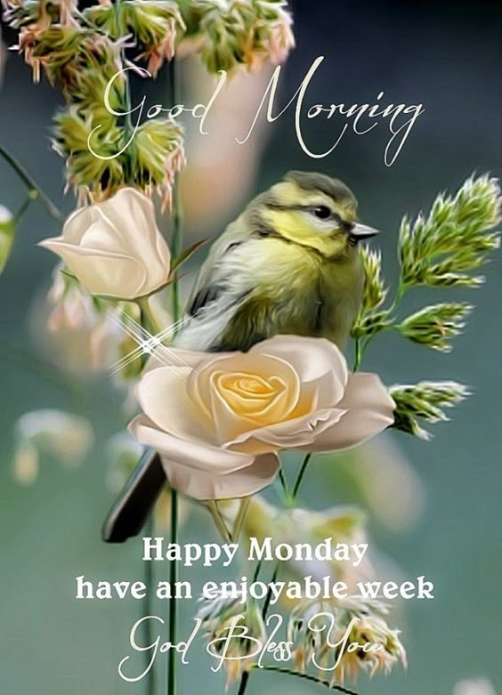 71 Good Morning Images - "Good morning. Happy Monday. Have an enjoyable week. God bless you."