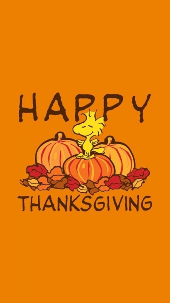 Thanksgiving Background Thanksgiving Background Thanksgiving Wallpaper Holiday Background