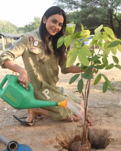 Rakul Preet Singh (Actress) Biography, Wiki, Age, Height, Career, Family, Awards and Many More