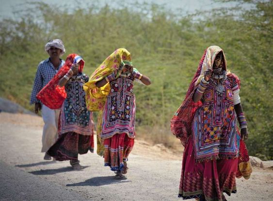 Gujarat: Kutch Desert and Rabari People - Amir And Azadeh