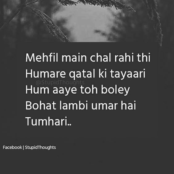 shahyri