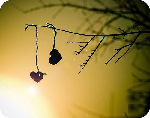 Bab I Hayat Bu Kentin Sokaklari Let Your Light Shine Heart Shadow I Love Heart Bab I Hayat Bu Kentin Sokaklari Let Your Light Shine Heart Shadow I Love Heart