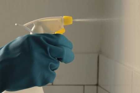 Como remover o mofo de casa