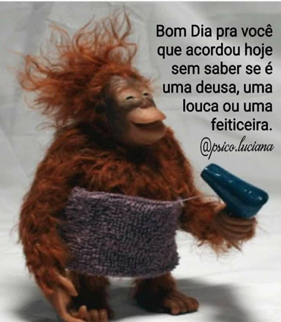 Muito engraçado a macaquinha descabelada.