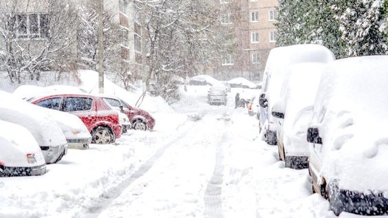Photo: Tainar (Shutterstock)If you have to suffer through a natural disaster, a blizzard is a good one. The death rate is relatively low—the worst blizzard in American history, the “Great White Hurricane” of 1888, only claimed a total of 400 lives—and preparation is easy. As long as don’t do anything dumb and you’re not incredibly unlucky, you should be alright.Determine how much danger you are inLike most natural disasters, preparation is key, and that begins with determining how much danger yo