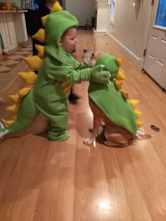Best Dog Posts Of The Week