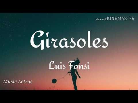 Luis Fonsi Girasoles Letra Hd Youtube Instagram Music Youtube