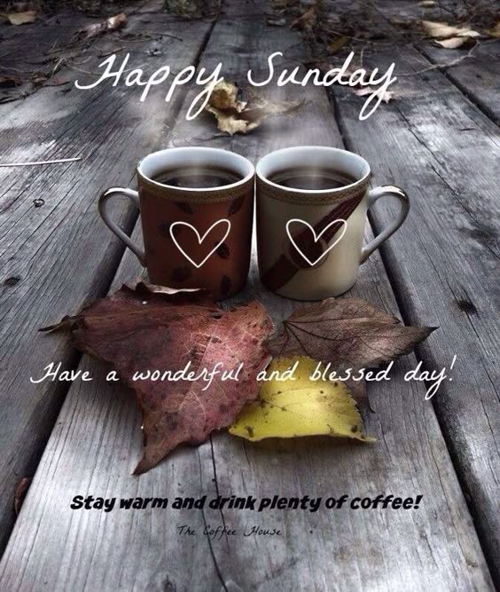 Happy Sunday...have a blessed day! ❤️