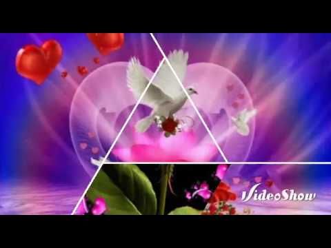 Quiereme Como Te Quiero Grupo Mandingo Youtube Videos De Musica Canciones Románticas Canciones