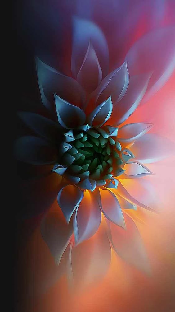 flower - Imgur