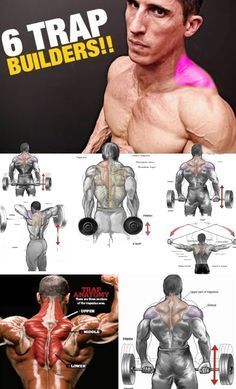 8 Trap Workouts For Men At The Gym For Bodybuilding Traps Workout Shoulder And Trap Workout Best Gym Workout