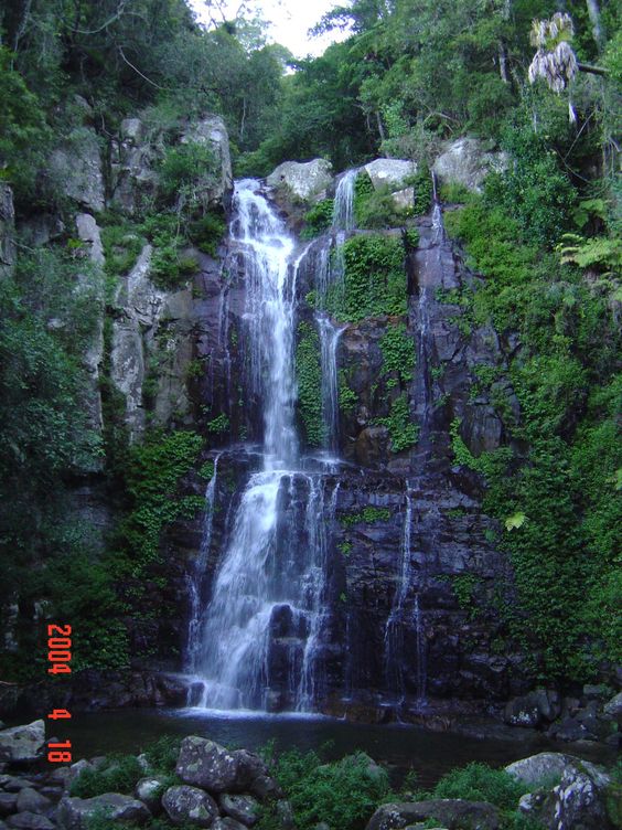 Die besten 25+ Brazilian rainforest Ideen auf Pinterest - brasilianisches mobel design von triptyque international Die besten 25+ Brazilian rainforest Ideen auf Pinterest - brasilianisches mobel design von triptyque international
