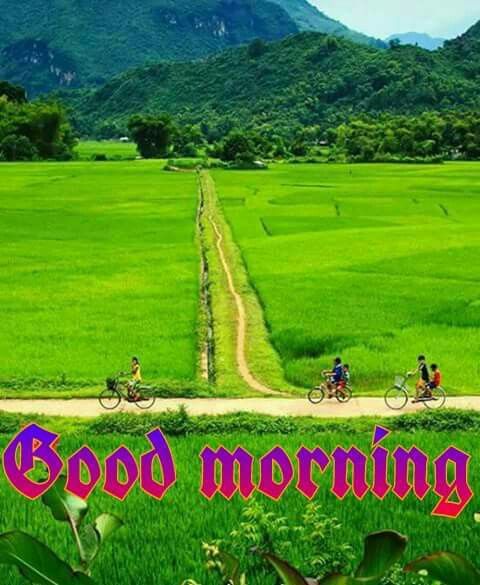 Good morning
