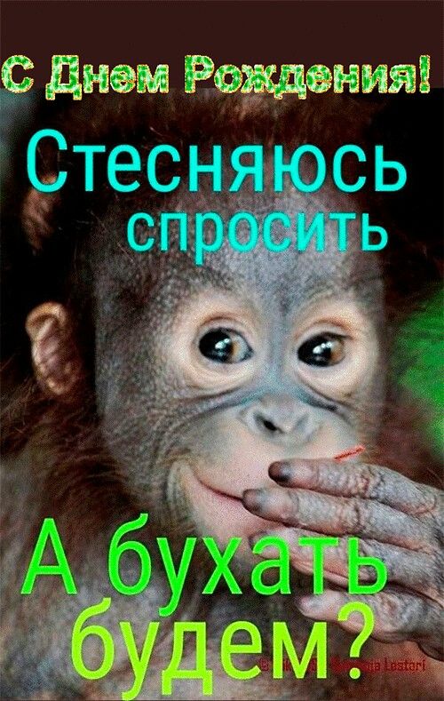 с-днем-рождения-дима