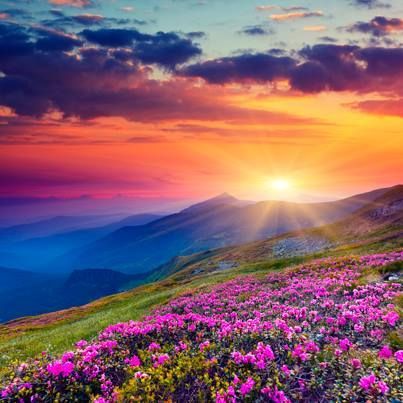 Doing good is in our own self-interest. Doing good brings us strength. In addition to hastening the transformation of our souls, righteous action gives us practical power to make our most important wishes come true, and to prevent our worst fears...