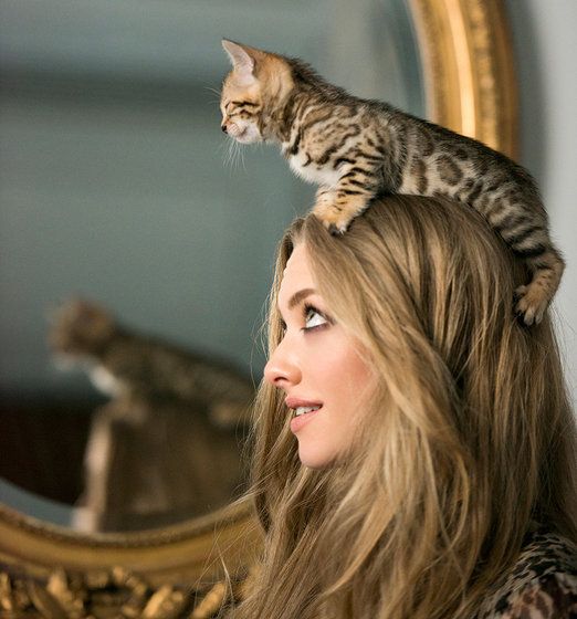 Cita a ciegas en París con Amanda Seyfried