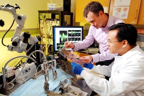 Chemical Engineering - The revolutionary green engineering - chemical engineering job description Chemical Engineering - The revolutionary green engineering - chemical engineering job description
