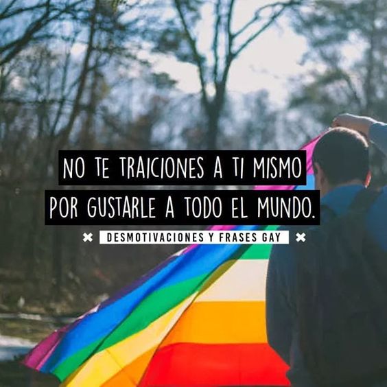 Pin En Gay Frases