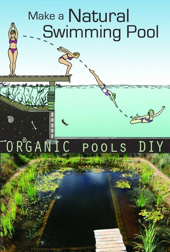 Watch Make A Natural Swimming Pool Online Vimeo On Demand On Vimeo Diy Swimming Pool Natural Swimming Pools Natural Swimming Pool