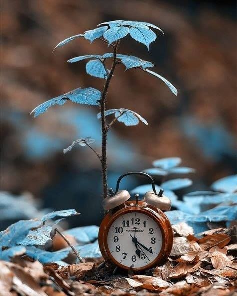 Non contare i giorni, fa in modo che i giorni contino. ~M.Ali'~