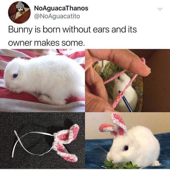 36 Hilarious Memes That Probably Won\'t Make Your Life Significantly Better