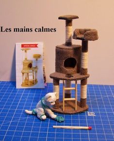 Maison de poupées = chat aliments