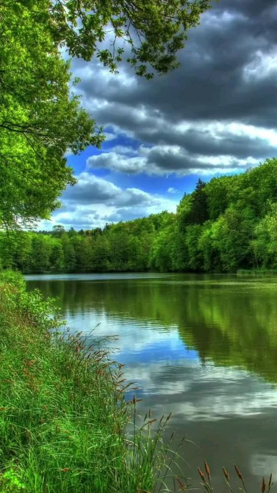 Good afternoon #nature #pins #sky #photography
