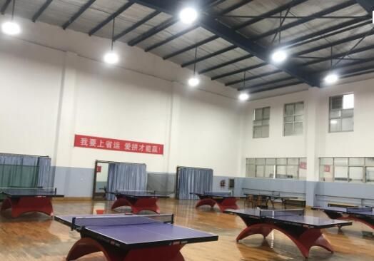 Ping Pong Table Lighting Light Table Ping Pong Table Table Tennis Room