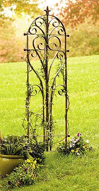 Love This Trellis Iron Pot Garden Iron Trellis Pot Garden, Metal Garden Obelisk Trellis With Bird Accents