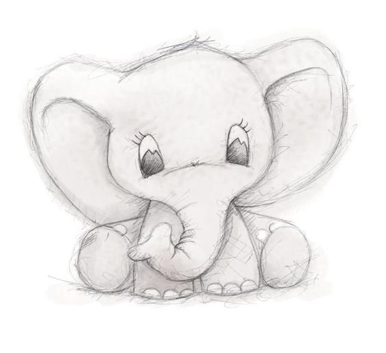 wallpapers Simple Pencil Drawing Images Animals 53 simple sketch pictures as a